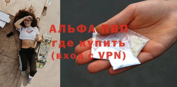 сатива Ростов