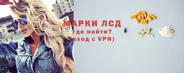 сатива Ростов