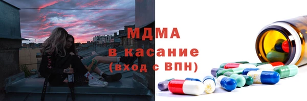 сатива Ростов