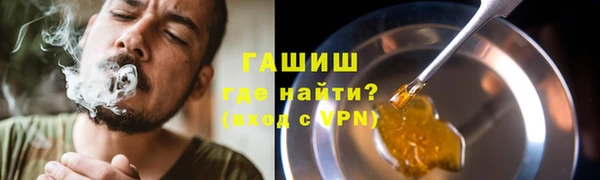 сатива Ростов