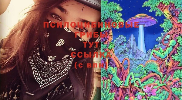 сатива Ростов