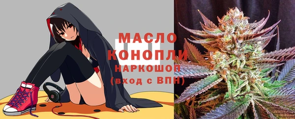 сатива Ростов
