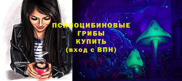 герыч Россошь