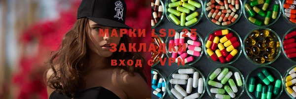 сатива Ростов