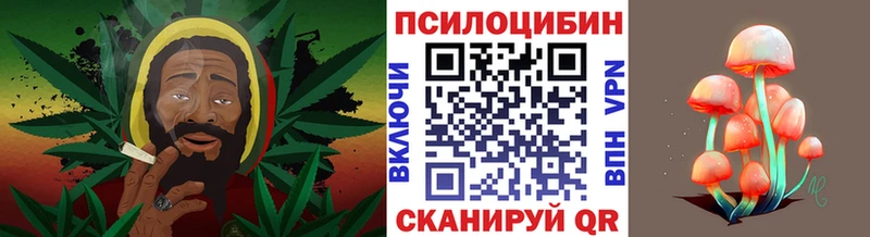 Галлюциногенные грибы мицелий  Купить закладки  Пестово 